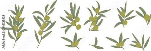 夏のオリーブイラスト。オリーブの葉っぱベクター素材。緑の葉っぱフレーム。Summer olive illustration. Olive leaf vector material. Green leaf frame.