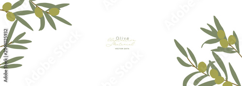 夏のオリーブイラスト。オリーブの葉っぱベクター素材。緑の葉っぱフレーム。Summer olive illustration. Olive leaf vector material. Green leaf frame.