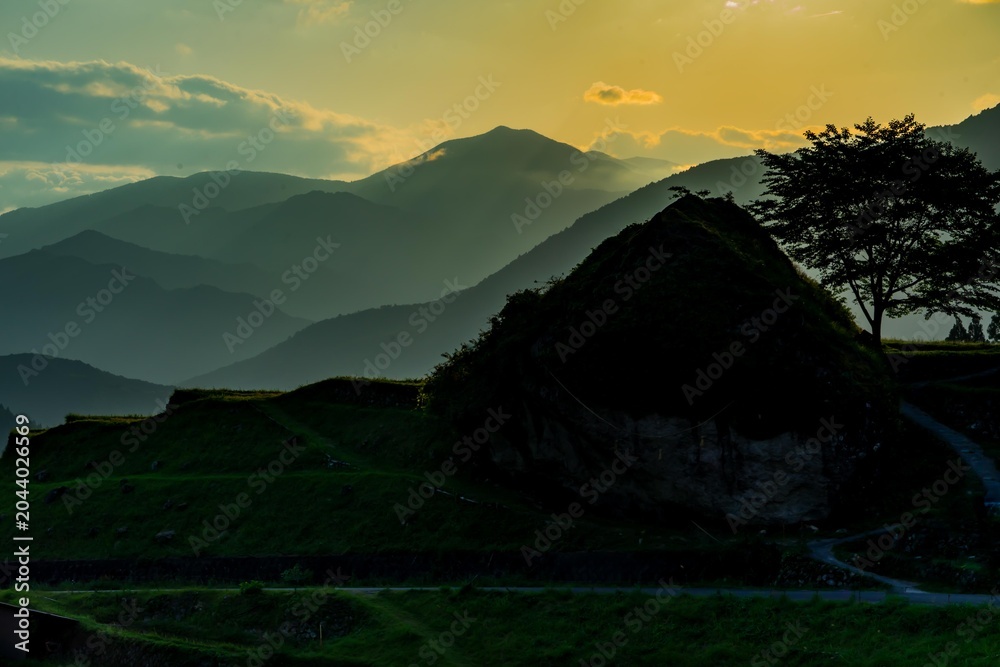 Naklejka premium 丸山千枚田の夕陽
