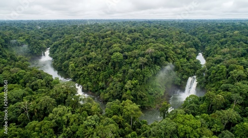 Lush Rainforest Waterfall View Aerial Shot of Untouched Jungle