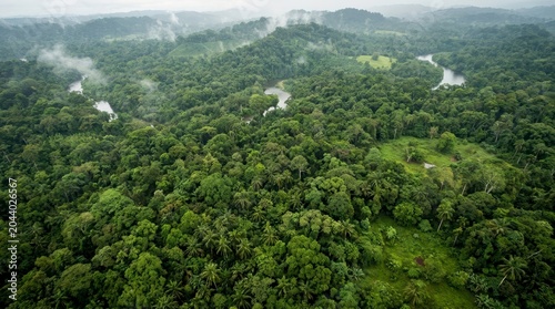 Lush Rainforest River Aerial Jungle View