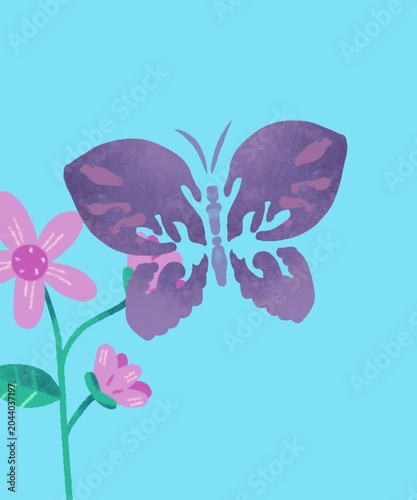 butterfly on pink flower