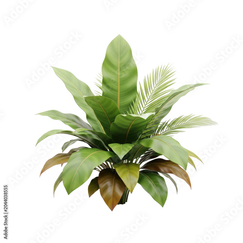 Lush Green Tropical Plant Arrangement Isolated on White.
