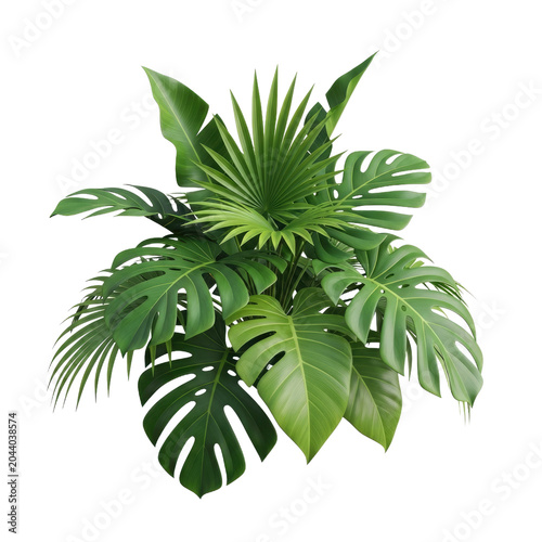 Lush Tropical Plant Assortment with Monstera and Palm Leaves.