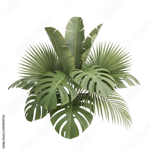 Exotic Tropical Plant Arrangement with Large Leaves.