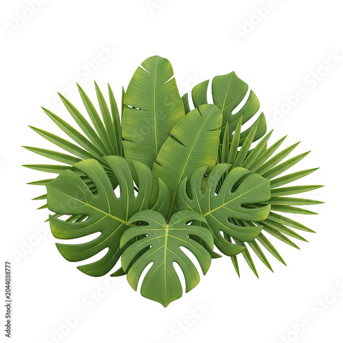 Lush Tropical Greenery Assortment of Exotic Leaves.