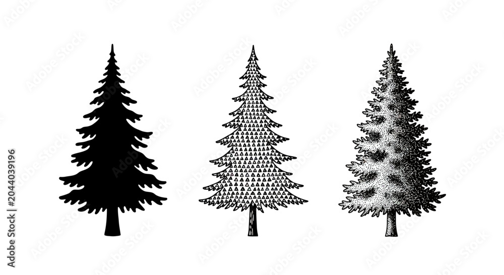 Fototapeta premium Vintage Engraved Evergreen Trees Set. Hand-drawn Spruce, Pine, Fir Tree Illustrations for Nature, Forest, Winter & Christmas Designs