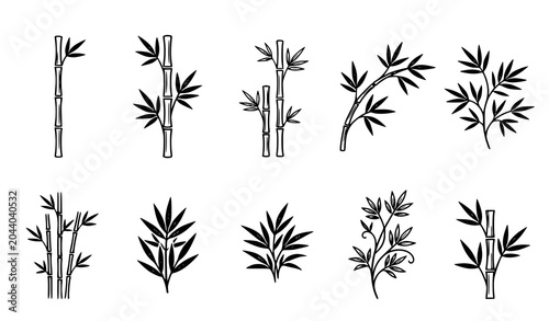 Photography Bamboo silhouette collection with minimalist stems and botanical vector graphics