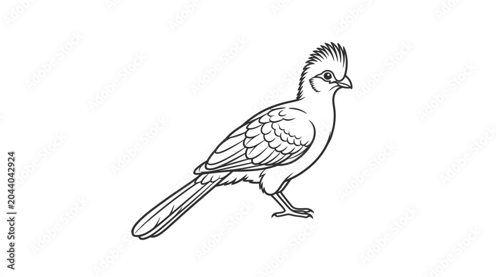 Fototapeta premium Elegant Line Drawing of a Crested Bird Standing Isolated on White Background