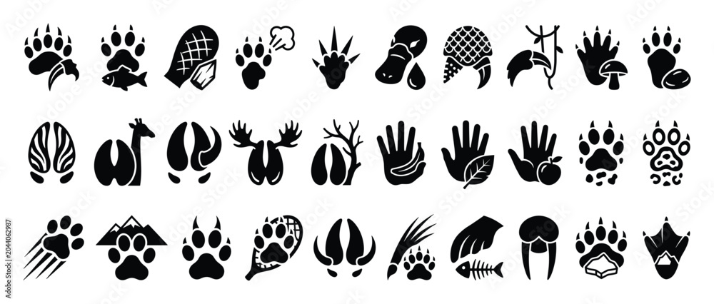Obraz premium Set of animal paw prints, human hand icons. Wildlife tracks, hoof marks, nature signs, adventure symbols. Camping, hiking, outdoor educational graphic elements.