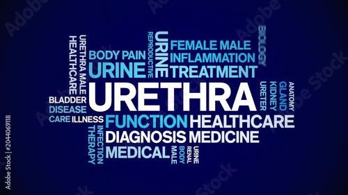Urethra animated word cloud-text design animation tag kinetic typography seamless loop.