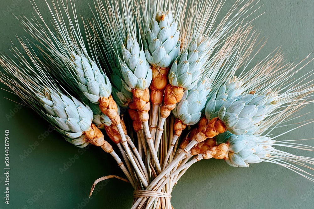 Obraz premium A bundle of mature wheat stalks arranged in a loose fan against a dark green surface for agricultural branding, autumnal decoration and rustic food
