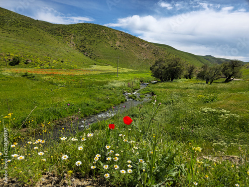 Canvas-taulu Spring valley with a flowing stream, white daisies and red poppies in lush green hills under a bright blue sky with soft clouds