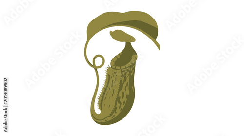 Olive Green Pitcher Plant Vector Illustration Isolated on White