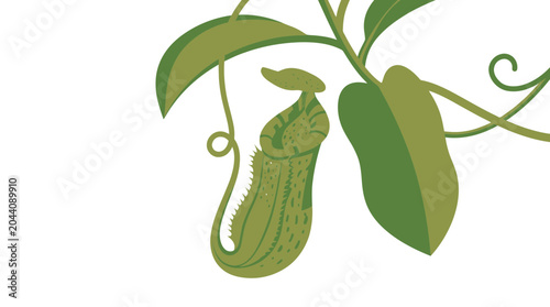 Stylized pitcher plant illustration with green leaves on white background