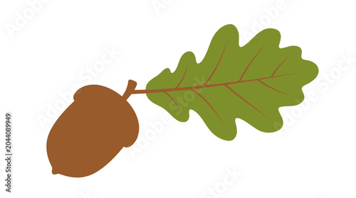 Vector illustration of a brown acorn and a green oak leaf isolated on white