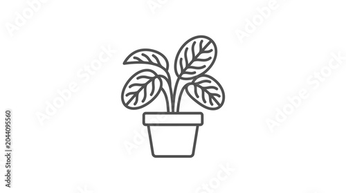 Bild auf Leinwand Potted indoor plant with broad leaves line art icon.