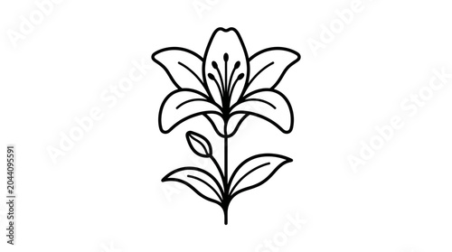 Fotografía Elegant single lily flower on stem line art icon.