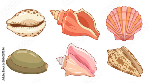 Foto Detailed set of colorful seashell vector illustrations featuring various marine