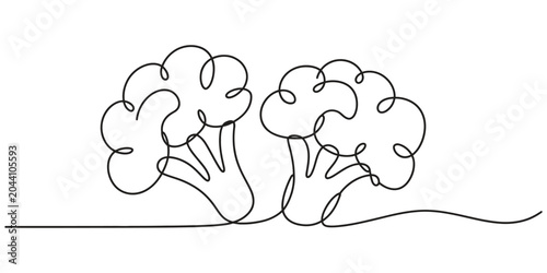 Continuous single line drawing of two broccoli heads fresh vegetable food