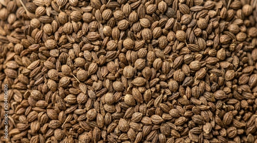 A detailed close up top down macro view of dried brown coriander seeds spilled uniformly across a flat surface creating a rich textured culinary background