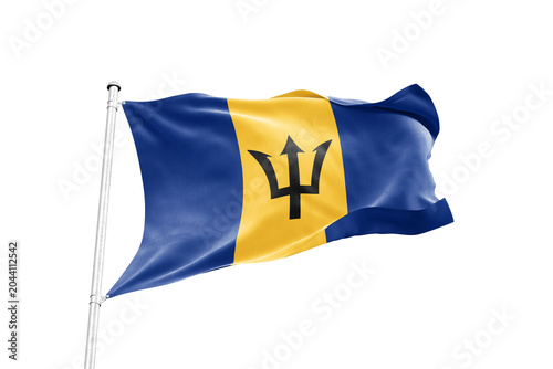 Bild auf Leinwand Barbados flag waving on pole isolated on transparent background