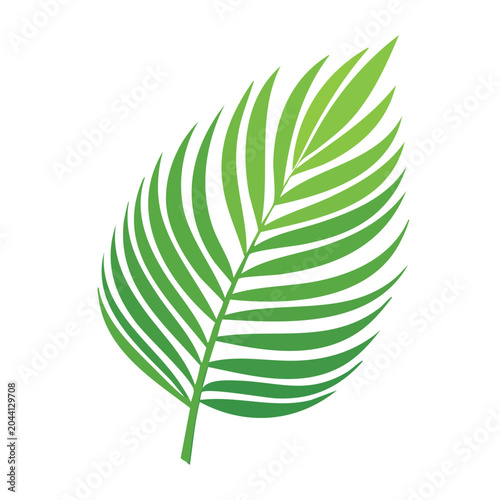Green Palm Leaf Illustration