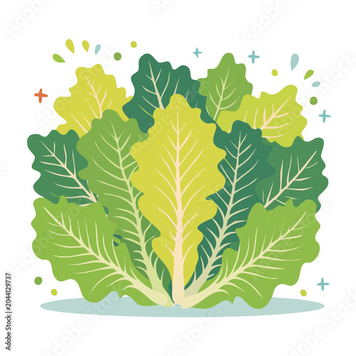 Illustration of Fresh Green Lettuce Leaves