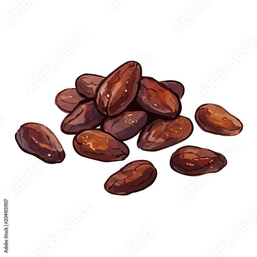 Item-style watercolor cacao pod illustration, elegant minimalist chocolate beans for luxury organic confectionery branding ／ カカオのイラスト