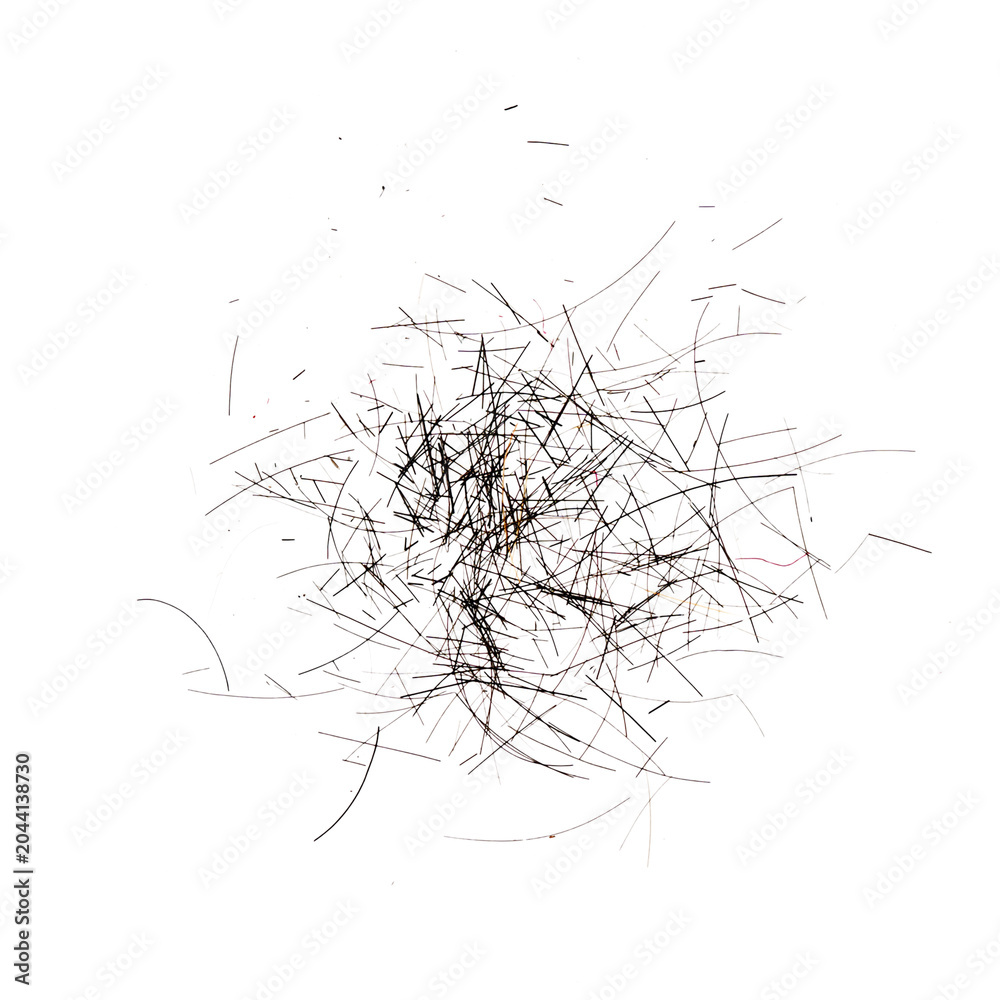 Fototapeta premium Scattered Loose Hair Strands on White Background with Fine Texture and Natural Abstract Fiber Pattern