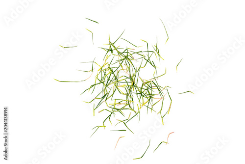 фотографія Loose pile of chopped fresh green Grass pieces isolated on transparent background, top view, minimalist food ingredient concept