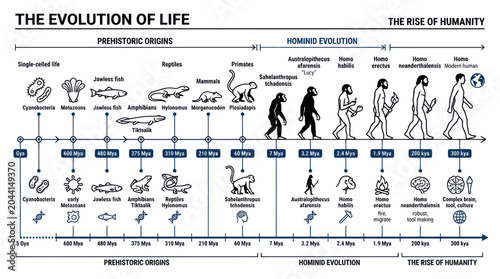 Foto The Evolution of Life and Rise of Humanity Timeline