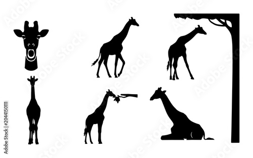 Canvas Print Giraffe Silhouettes Collection, African Wildlife Vector Icons, Safari Animal Pos