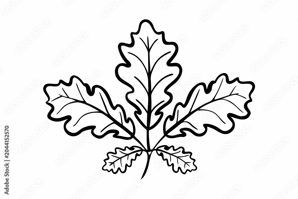 Fototapeta premium Black and white vector illustration of an oak leaf design with wavy edges and detailed veins on a white background