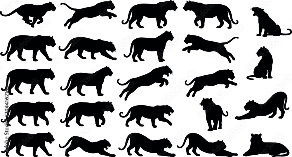 Fototapeta premium Big Cat Silhouette Collection Featuring Panther Leopard and Wild Feline Poses in Action and Rest