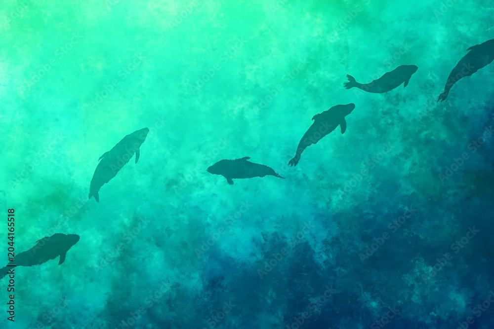 Fototapeta premium Graceful dolphins swimming in turquoise waters