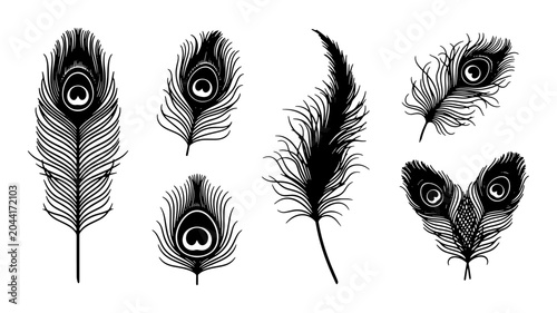 Quadro su tela Elegant Peacock Feather Vector Illustrations, Set of 7 Black and White Ornitholo