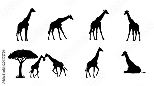 Photos African Giraffe Silhouettes Collection, Wildlife Vector Icons, Safari Animals Se