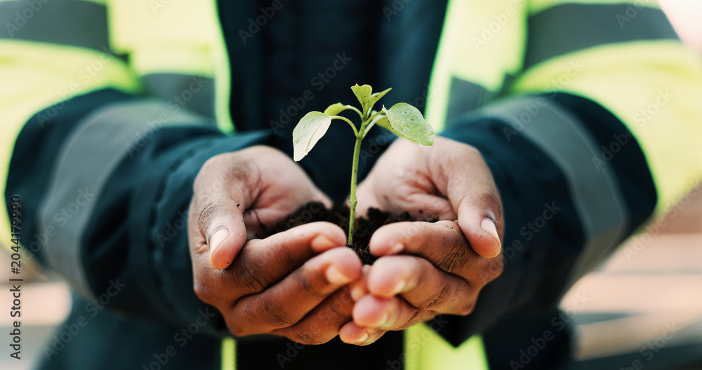 Fototapeta premium Eco friendly, plant and hands of construction worker on site for sustainability, botany or agro. Agriculture, man and civil engineer with green leaf in soil for spring, horticulture or hope outdoor.