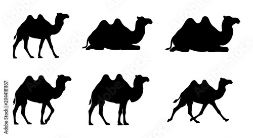 Konstfotografi Camel Silhouettes Collection, Desert Animals Vector Icons, Dromedary and Bactria
