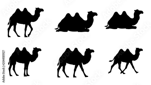 Bild auf Leinwand Dromedary Camel Silhouettes, Desert Wildlife Vector Icons, Animal Poses Collecti