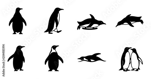 Fotografía Penguin Vector Icons Set, Antarctic Wildlife Silhouettes, Diverse Poses, Black a