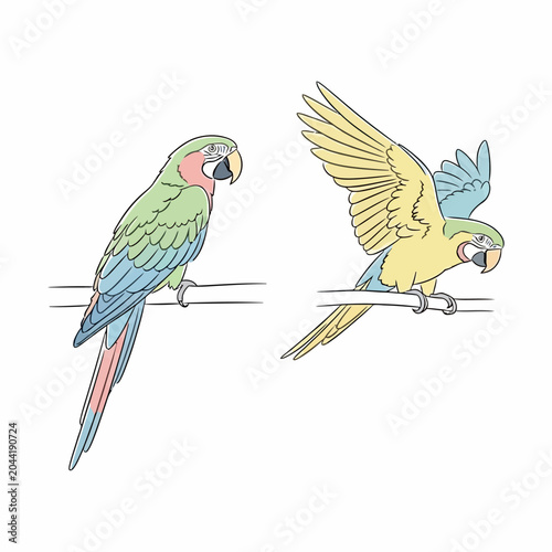 Two Colorful Macaw Parrots Perched on Branch in Minimalist Line Art Style