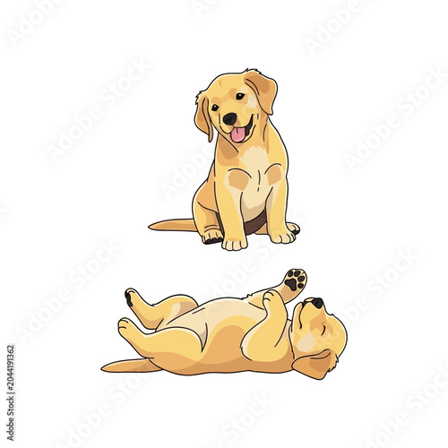Cute Golden Retriever Puppy Sitting and Lying on Back Cartoon Vector Set