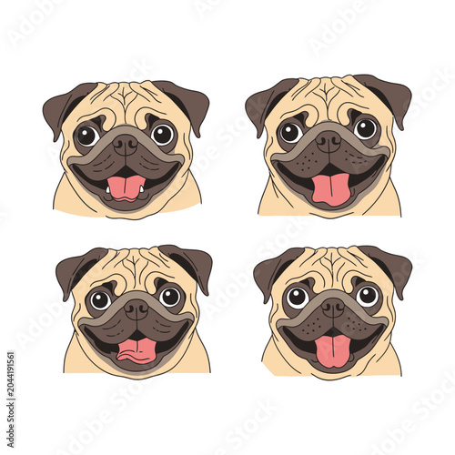 Set of Four Happy Pug Dog Faces Smiling and Panting on White Background