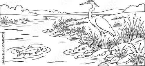 Great blue heron standing by a river bank coloring page, serene wetland landscape with fish and reeds, black and white nature vector illustration