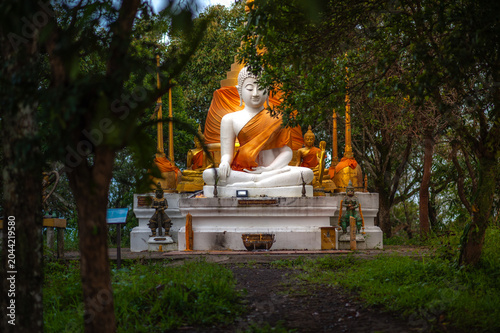 Foto A white Buddha statue situated on a mountaintop in the forest.