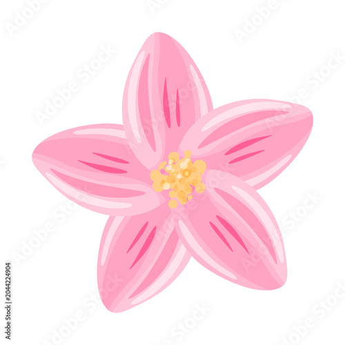 Pink Tropical Flower Five Petals Yellow Center