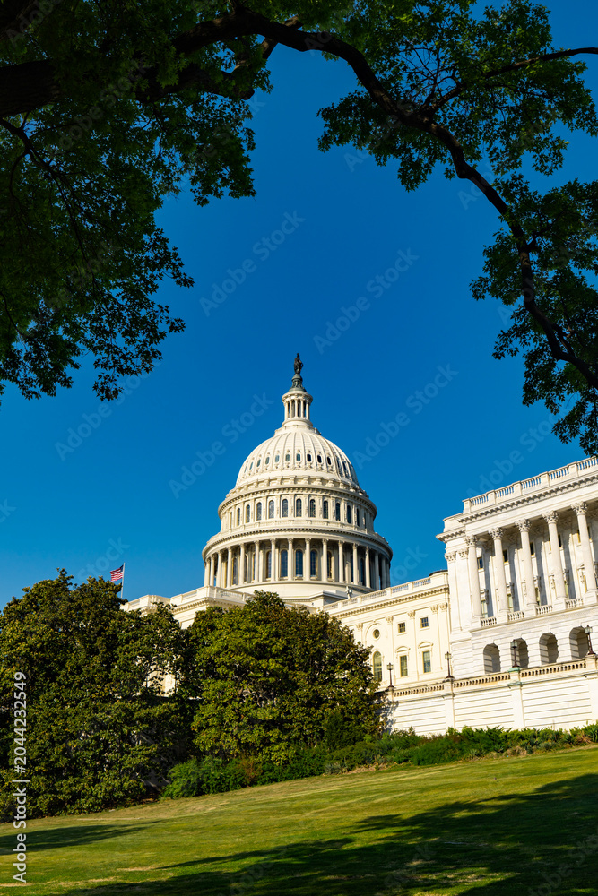 Naklejka premium Capitol building in Washington DC. Capitol dome defines US architecture. Capitol stands as federal government symbol. Capitol landmark shows American history.