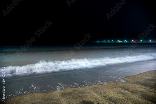 夜光虫